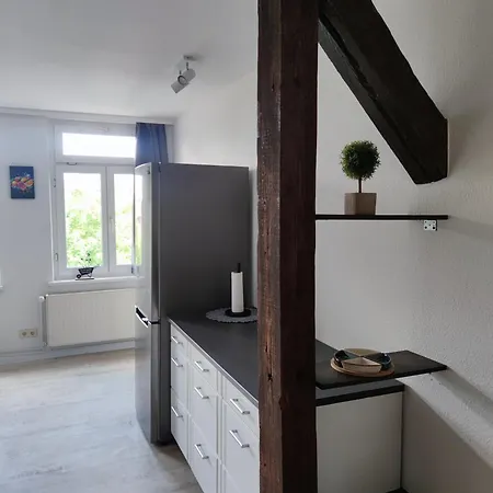 Dachgefluester * Schwerin (Mecklenburg-Vorpommern)